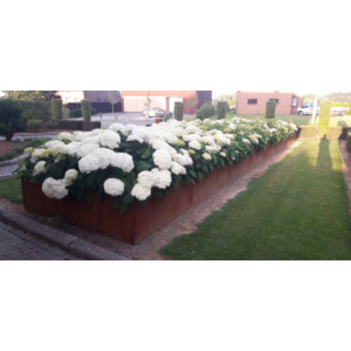 Geroba Keerwand cortenstaal 200x20x75 cm