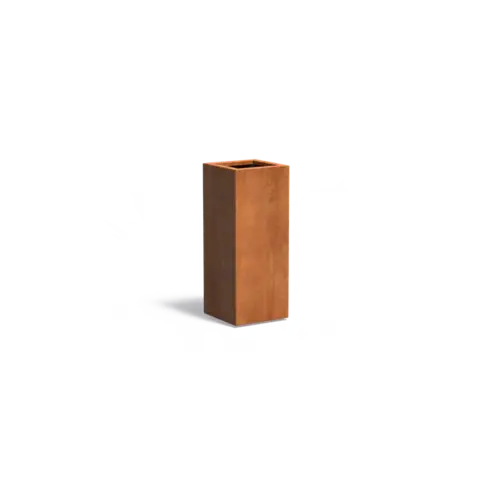Adezz Cortenstaal plantenbak 40x40x100 cm