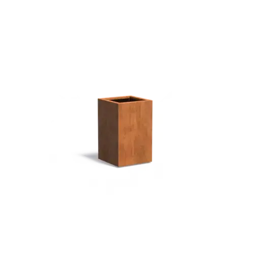 Adezz Cortenstaal plantenbak 50x50x80 cm