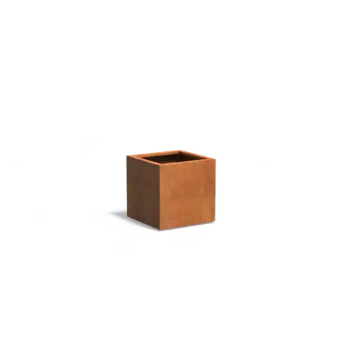 Adezz Vierkante cortenstaal plantenbak 60x60x60 cm