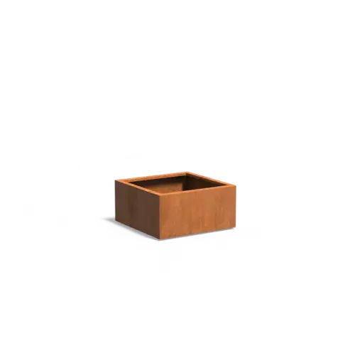 Adezz Plantenbak cortenstaal 80x80x40 cm