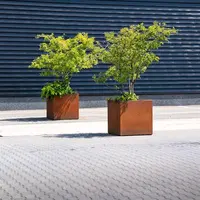 Adezz Cortenstaal plantenbak 120x40x80 cm