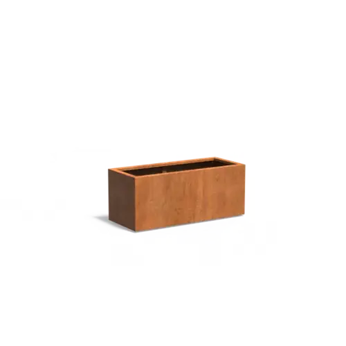 Adezz Cortenstaal plantenbak 120x50x50 cm
