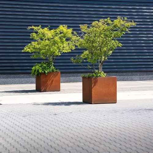 Adezz Cortenstaal plantenbak 120x50x50 cm