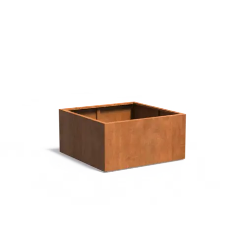 Adezz Cortenstaal plantenbak 120x120x60 cm