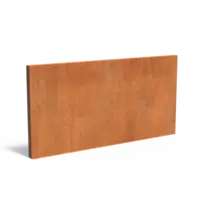 Adezz Cortenstaal muur 400x15x200 cm