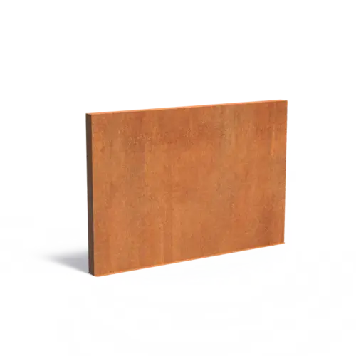 Adezz Cortenstaal muur 300x15x200 cm