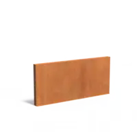 Adezz Cortenstaal muur 300x15x135 cm