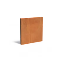 Adezz Cortenstaal muur 200x15x200 cm