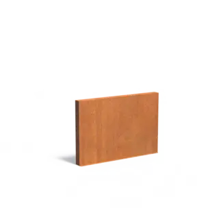 Adezz Cortenstaal muur 200x15x135 cm