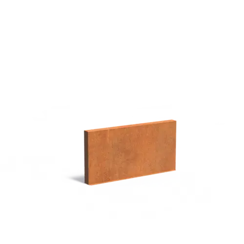 Adezz Cortenstaal muur 200x15x100 cm