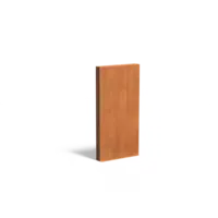 Adezz Cortenstaal muur 100x15x200 cm