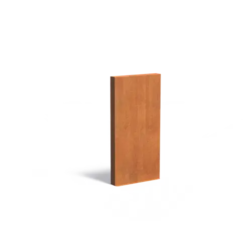 Adezz Cortenstaal muur 100x15x200 cm