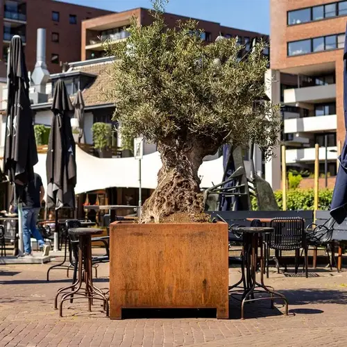Adezz Cortenstaal plantenbak 80x80x80 cm - Met poten