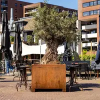 Adezz Cortenstaal plantenbak 120x120x60 cm - Met poten