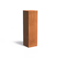 Adezz Cortenstaal brievenbus Nox 35x35x120 cm