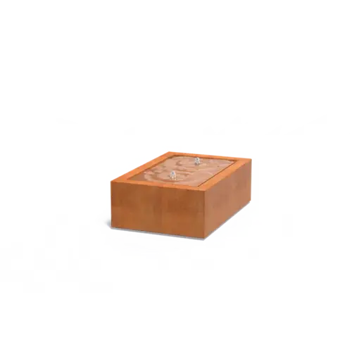 Adezz Watertafel cortenstaal 120x80x40 cm