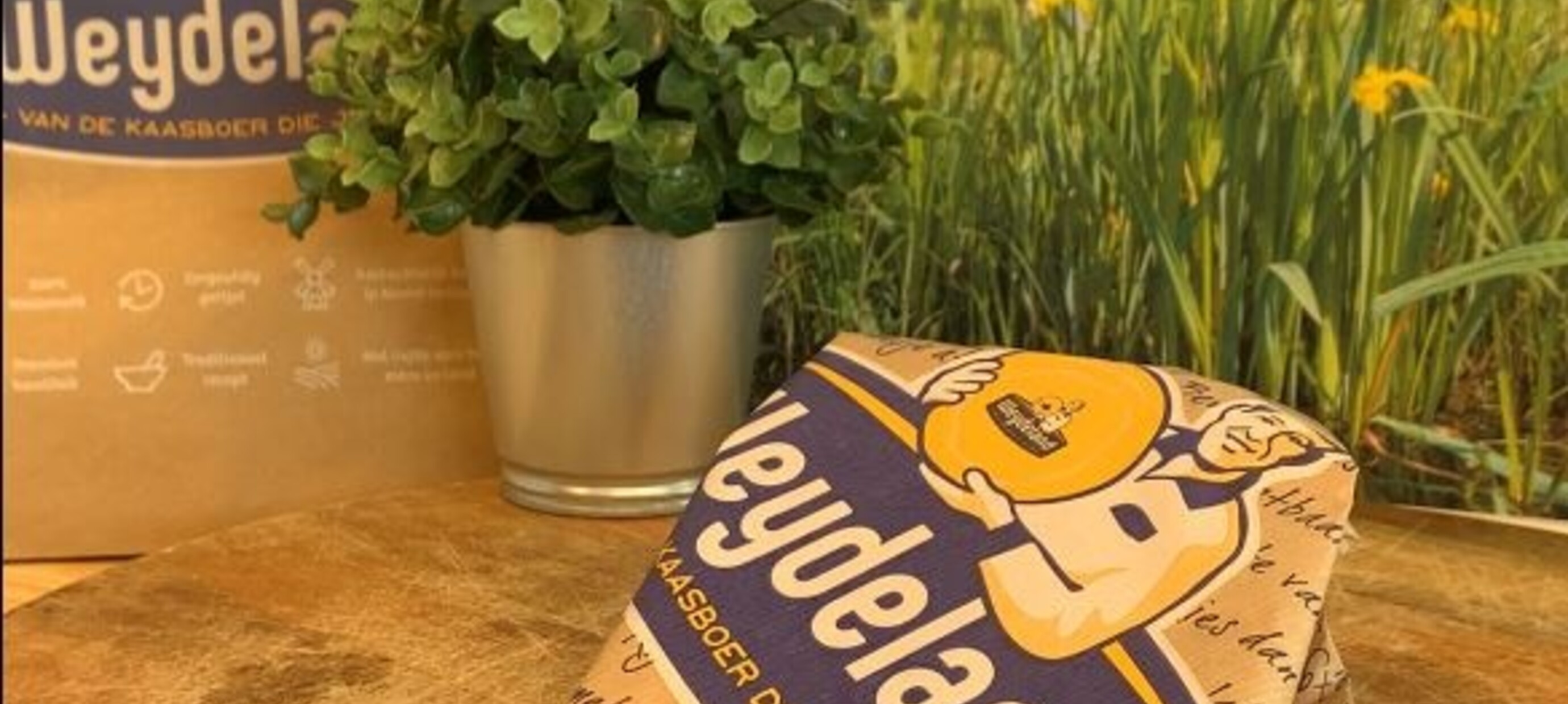 Hoe Kun Je Kaas het Best Bewaren?
