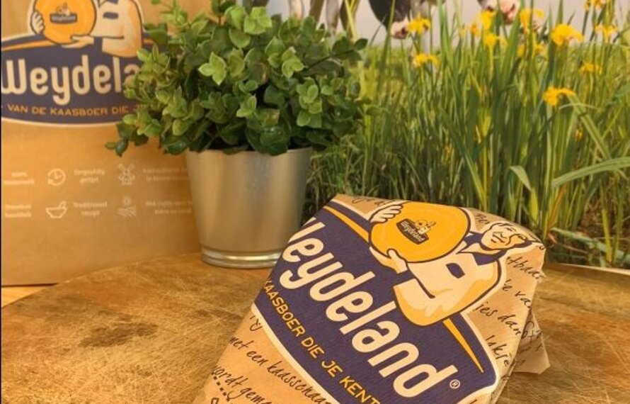 Hoe Kun Je Kaas het Best Bewaren?