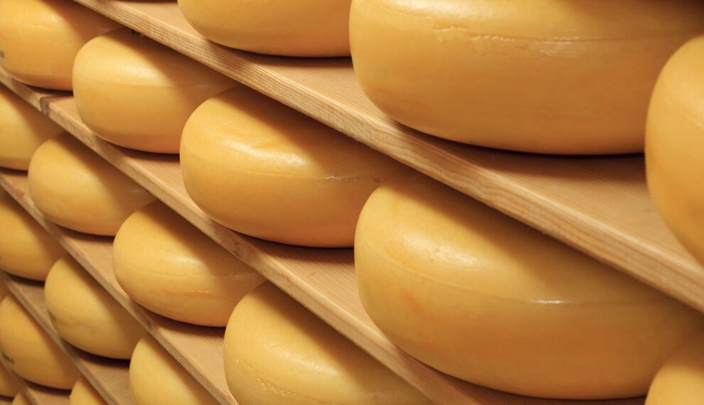 Waarom is kaas rond? De smakelijke logica achter de vorm