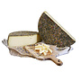 Swiss mountain cheese with wild flowers