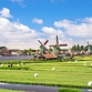 Kaas van de boerderij