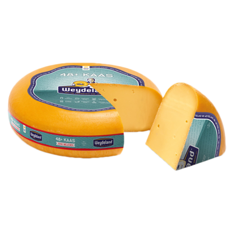 Weydeland Junge Reife 48+ Ganzer Käse 12kg