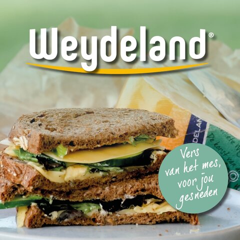 Weydeland Kaas Weydeland Junge Reife 48+ Ganzer Käse