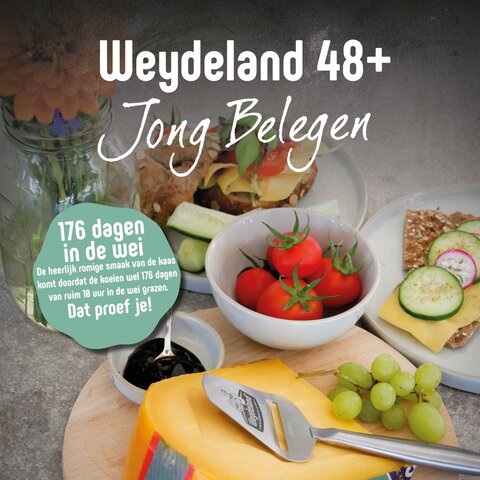 Weydeland Kaas Weydeland Junge Reife 48+ Ganzer Käse