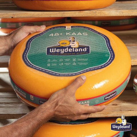Weydeland Kaas Weydeland Young Mature 48+ whole cheese