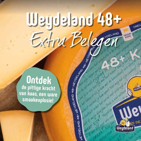 Weydeland Kaas Weydeland Extra Matured 48+ whole cheese