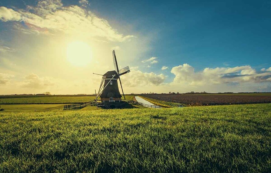 Warum ist niederländischer Käse so beliebt?