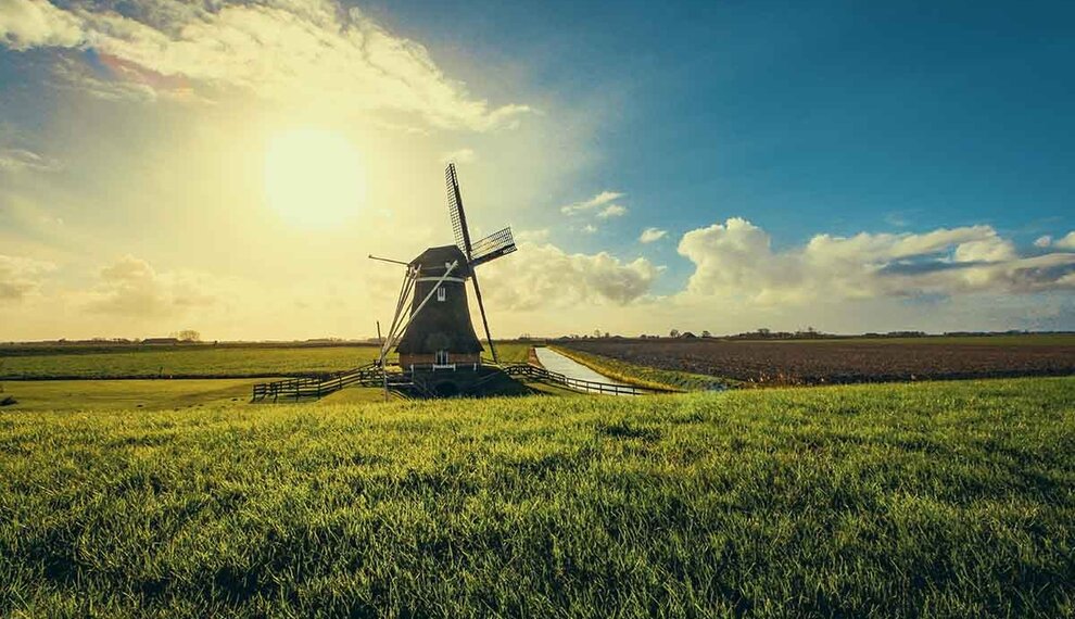 Warum ist niederländischer Käse so beliebt?