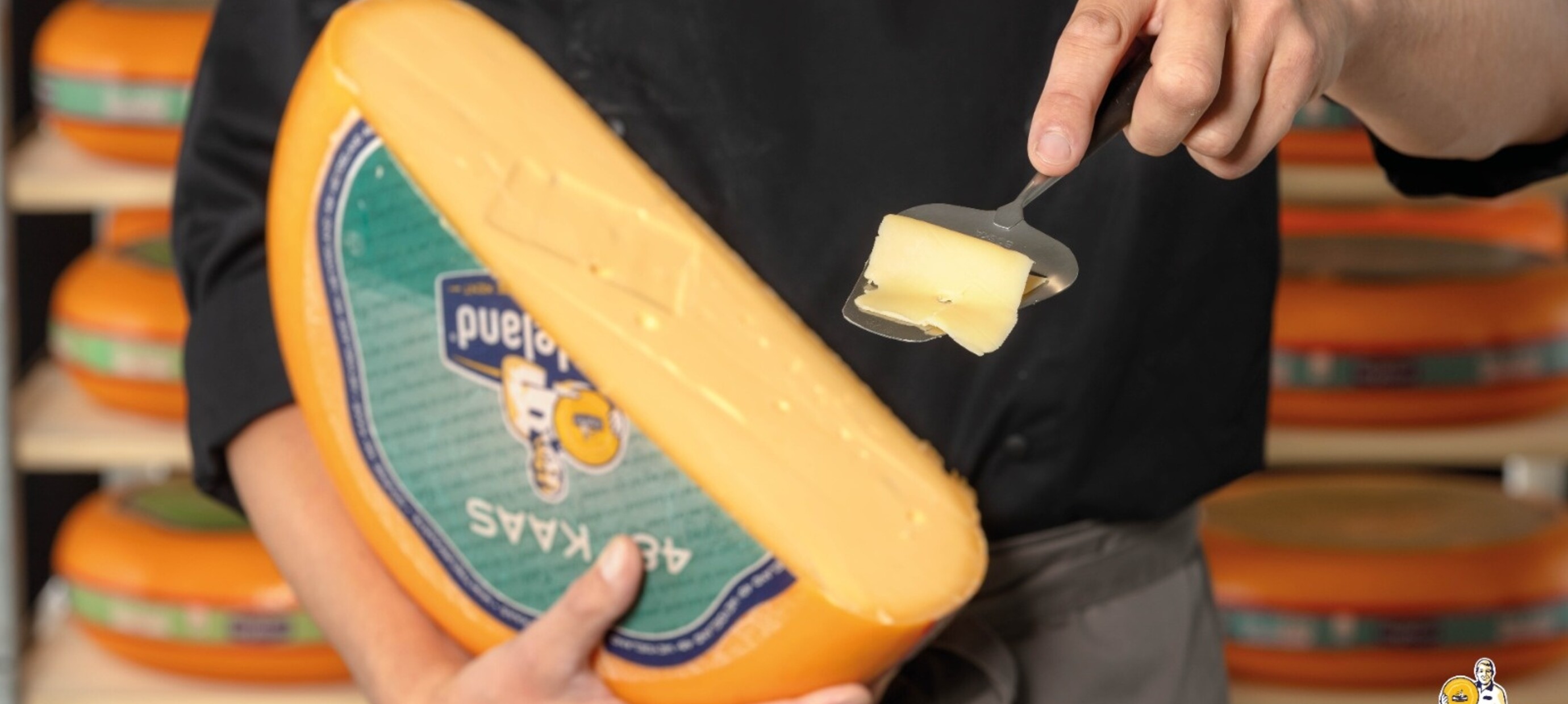 Entdecke den Geschmack von Weydeland Käse