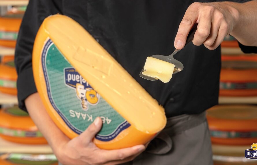 Entdecke den Geschmack von Weydeland Käse
