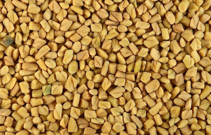 Fenegriek: een nootachtige smaakmaker met een rijke geschiedenis