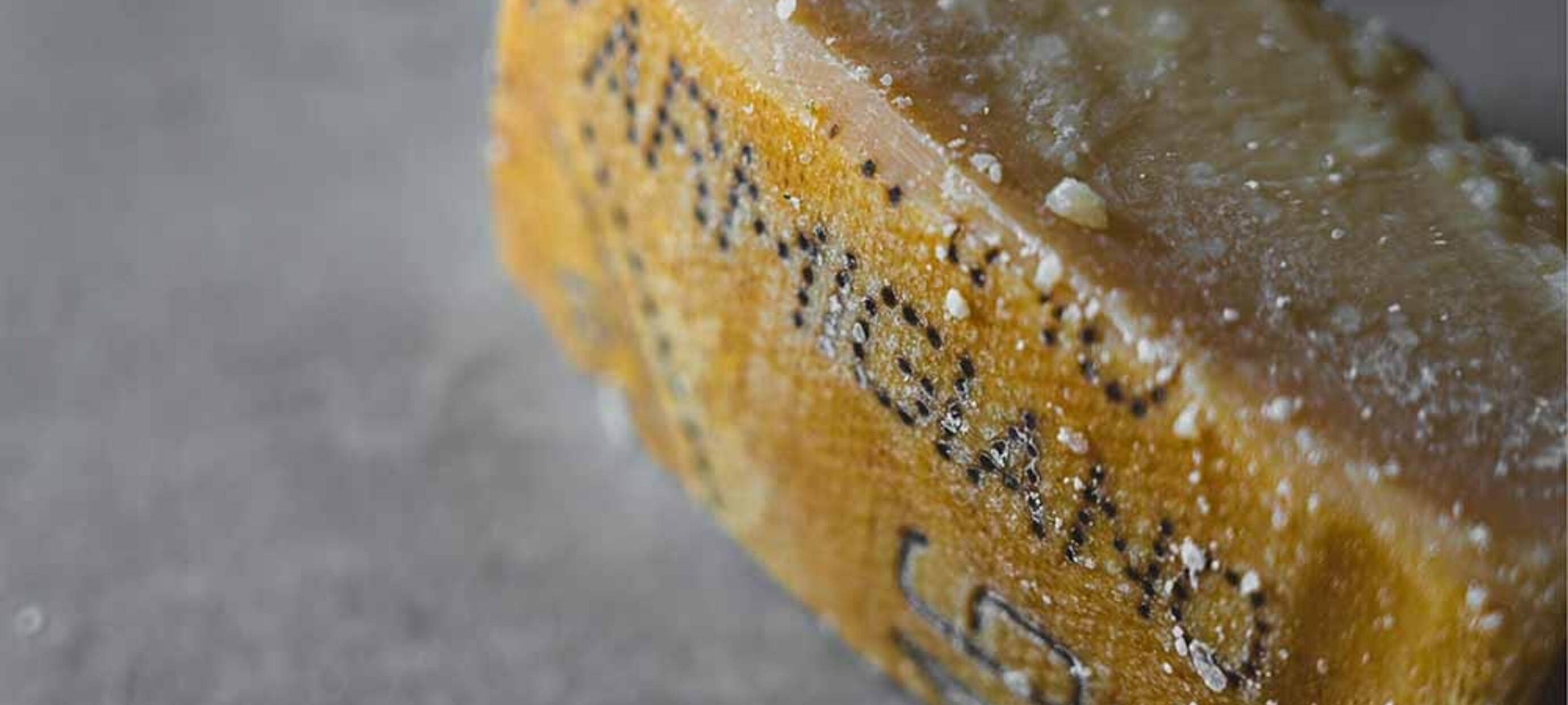 Parmezaanse kaas: alles wat je moet weten