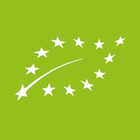 Parmigiano Reggiano 36 months - Organic - 500gr