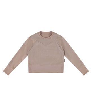 Vinrose Meisjes sweater - Zilver