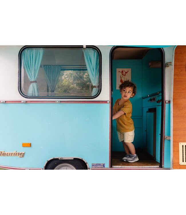 Quapi Jongens t-shirt - Beril - Bruin