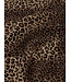 Nik&Nik Meisjes blouse - Neo - Mountain Lion