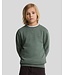 Lyle & Scott winter sweater jongens - Mercurial groen - Tonal