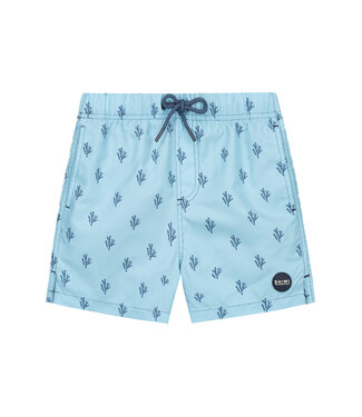 Shiwi Zomer zwembroek jongens - hemels blauw, koraal - Milo