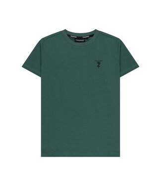 Touzani zomer t-shirt jongens - groen - Kigoi