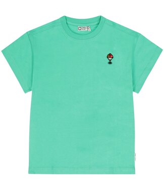 Tumble & Dry zomer t-shirt meisjes - mint - Rouen