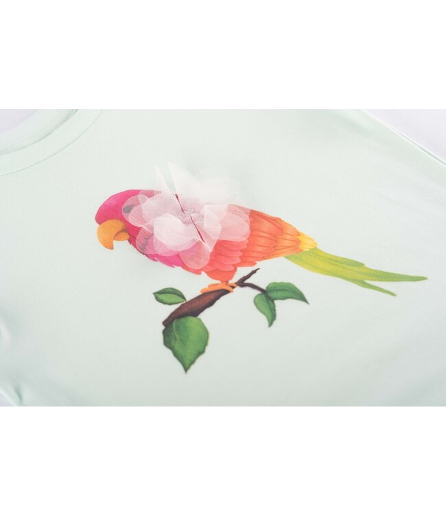 Someone Zomer t-shirt meisjes - mint - lisette