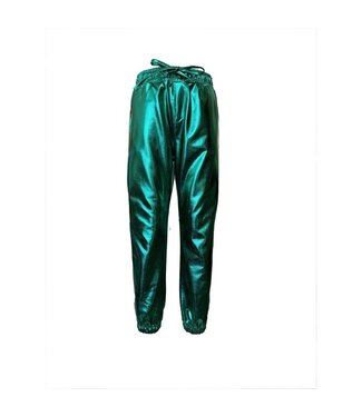 Dutch Dream denim zomer broek metallic - groen - Kisiwa