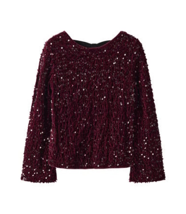 Name it winter blouse meisjes - paars - regular fit - NkfRusitta