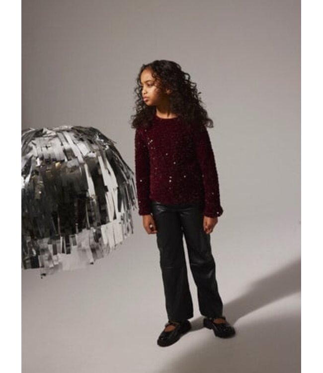 Name it winter blouse meisjes - paars - regular fit - NkfRusitta