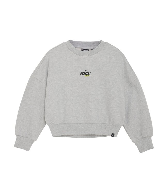 Indian Blue Jeans Winter sweater meisjes - grijs - glitterprint